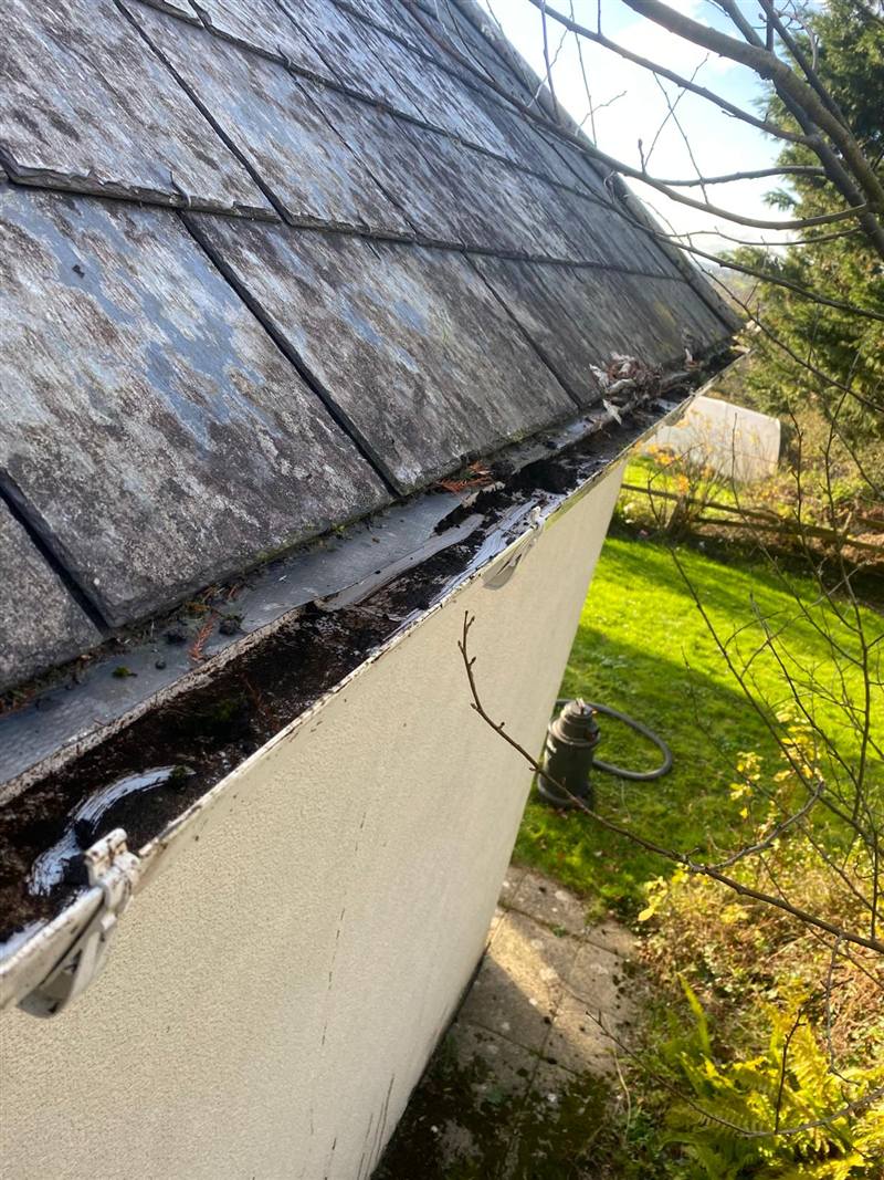 Silt-filled gutter beneath a slate roof