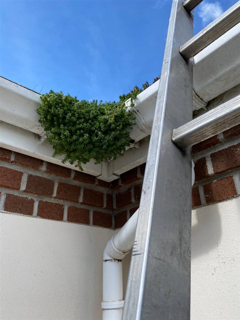 White fascia and guttering on the corner of a house