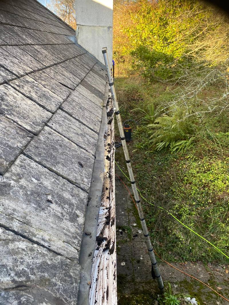 Gutter clearance with a ladder and wet vacuum