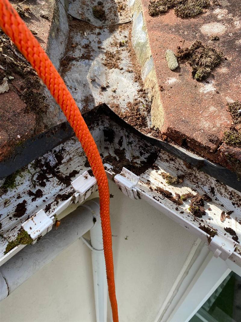 Gutter full of soil and moss